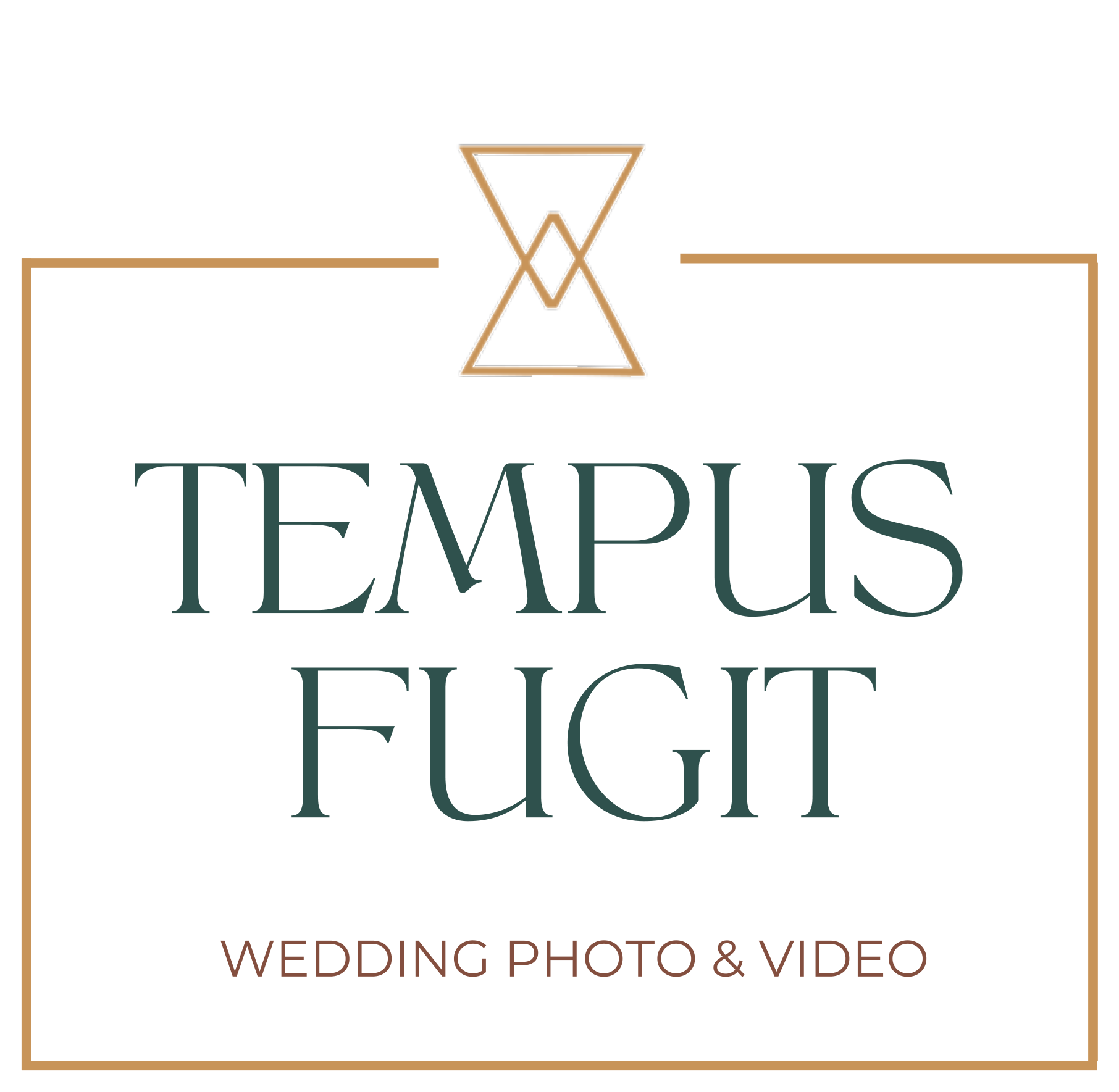Tempus Fugit Logo